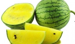 网红吃瓜排行榜最新图片,盘点最新热门事件，揭秘网络热点背后的真相